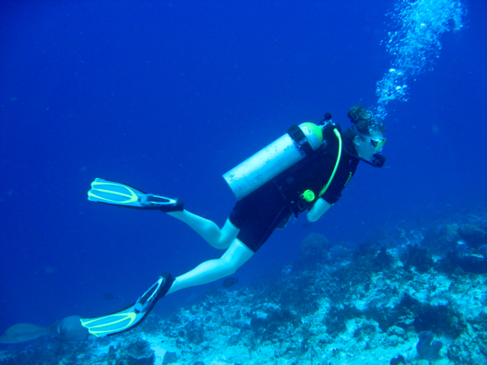 Plongée sous-marine à Hyères